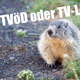 TVöD oder TV-L