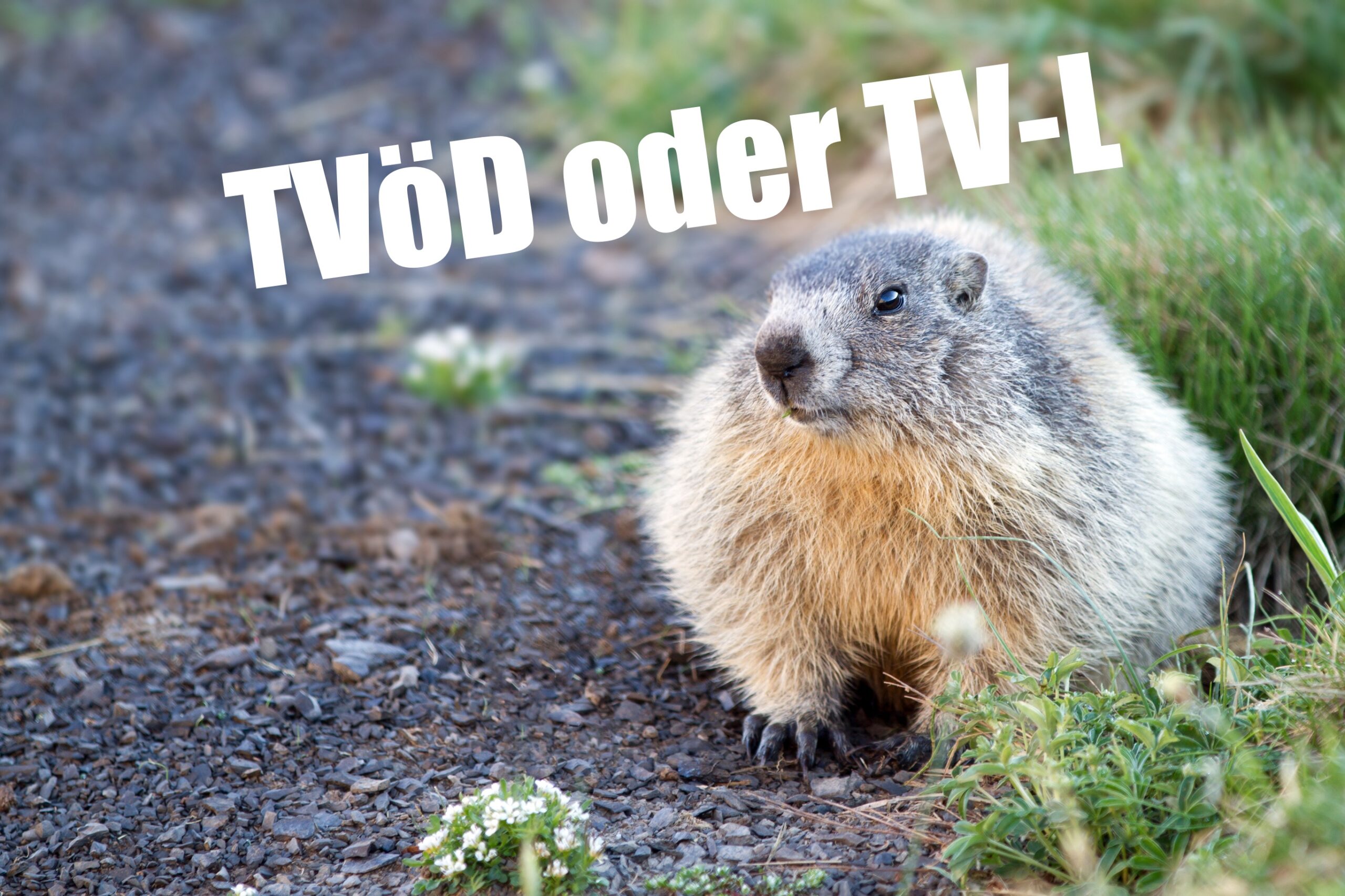 TVöD oder TV-L